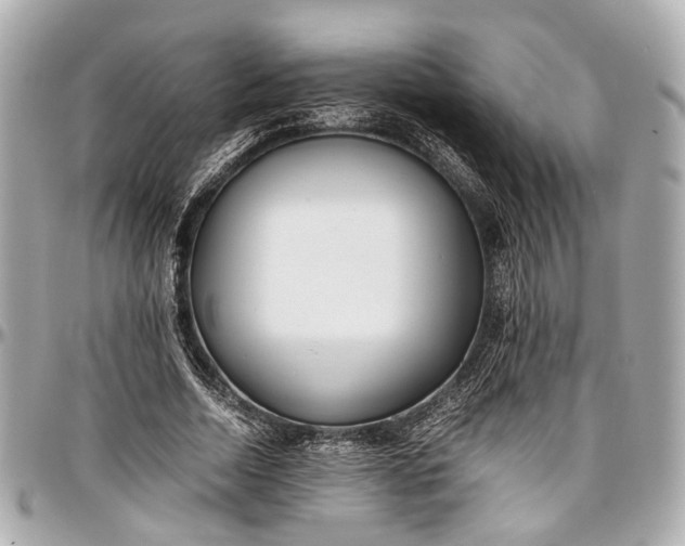 X0000097000730200802221520