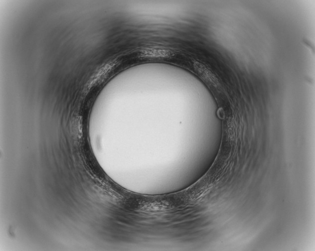 X0000097000731200802221520