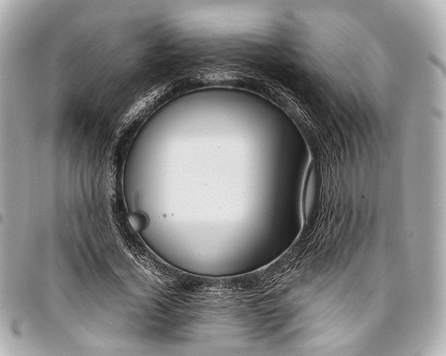 X0000097000732200802221520