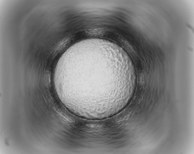 X0000097000733200802221520