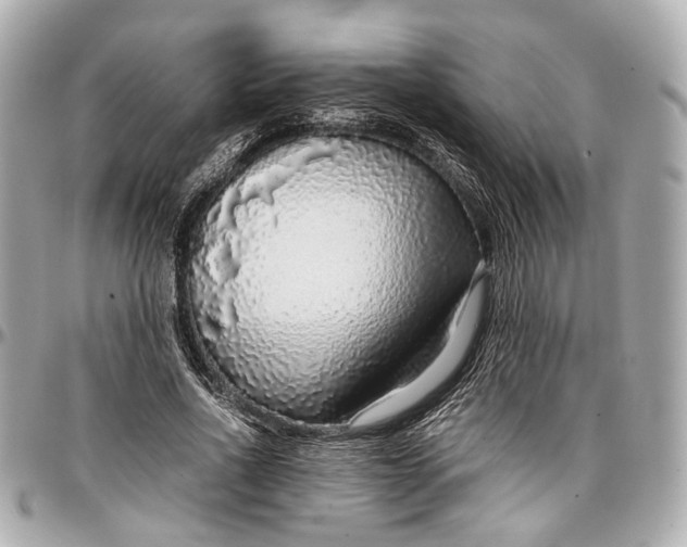 X0000097000734200802221520