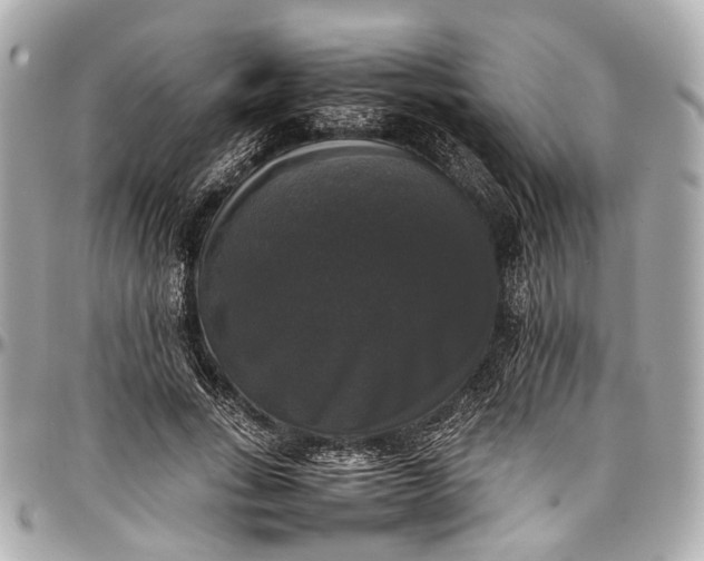 X0000097000735200802221520