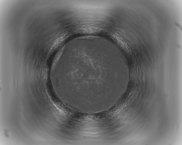 X0000097000736200802221520