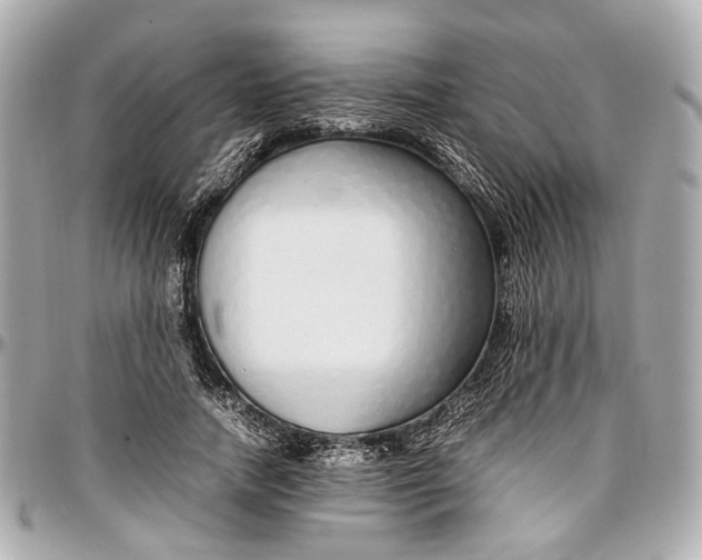 X0000097000738200802221520