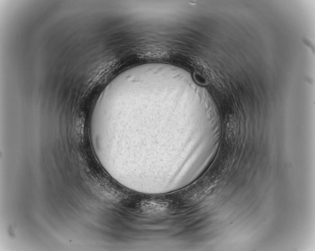 X0000097000739200802221520