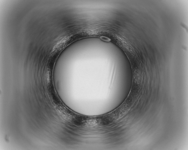 X0000097000740200802221520