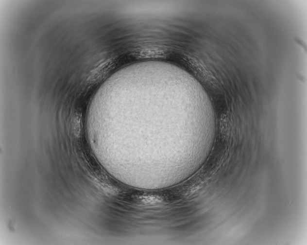 X0000097000741200802221520