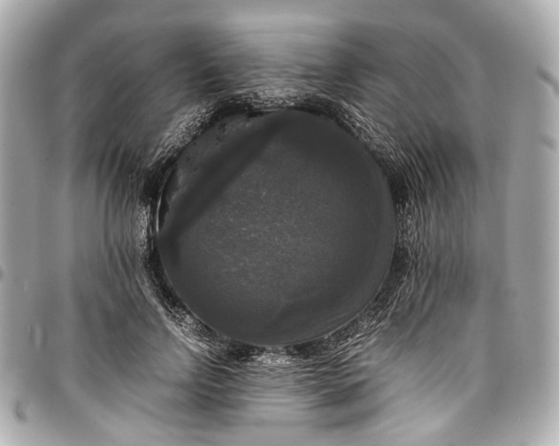 X0000097000742200802221520