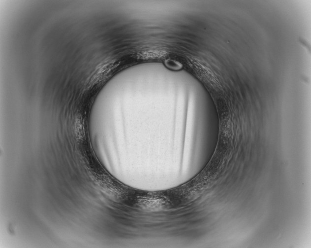 X0000097000743200802221520