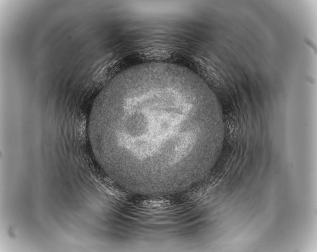 X0000097000745200802221520