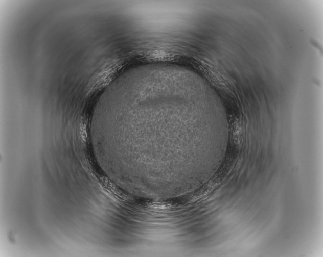 X0000097000746200802221520