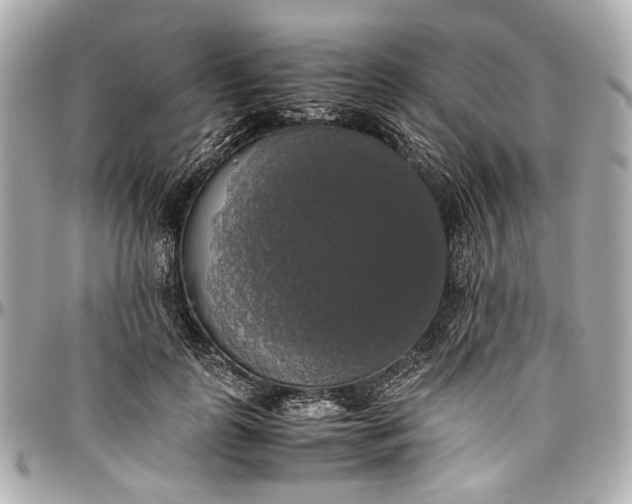 X0000097000747200802221520