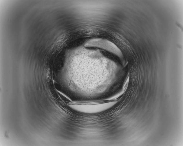 X0000097000748200802221520