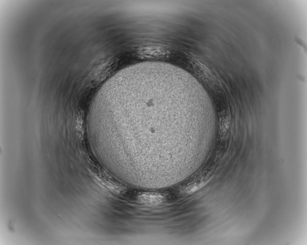 X0000097000749200802221520