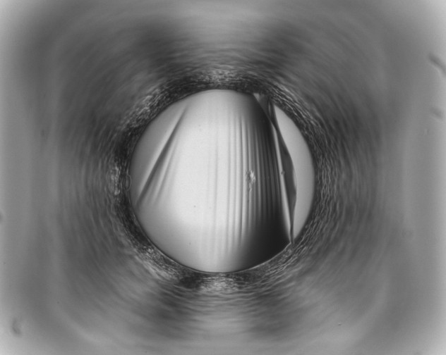 X0000097000750200802221520