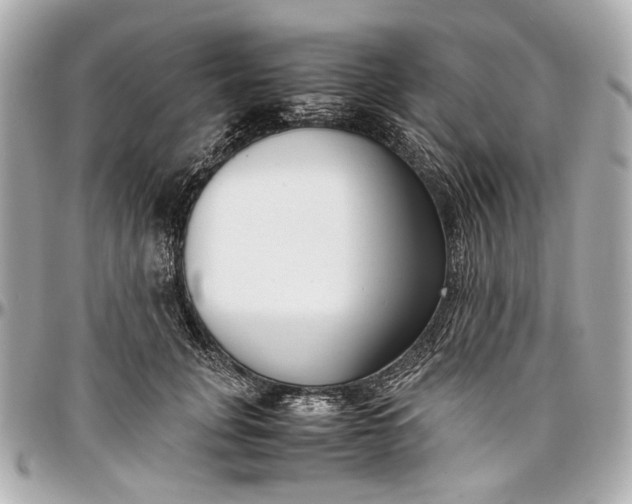 X0000097000751200802221520