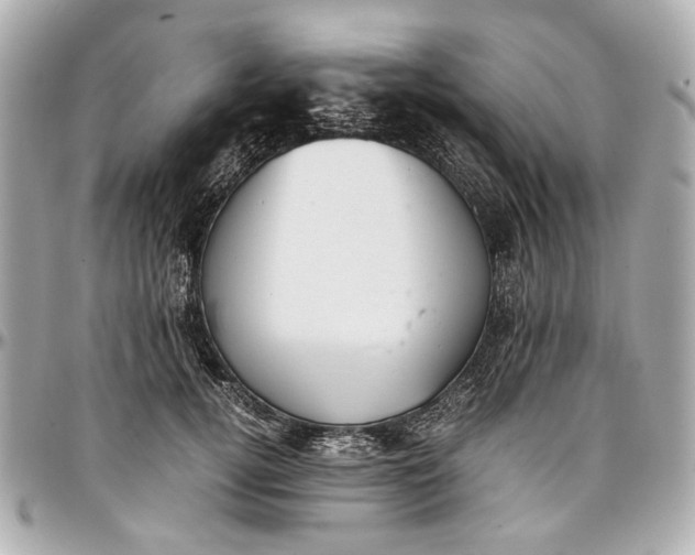 X0000097000752200802221520