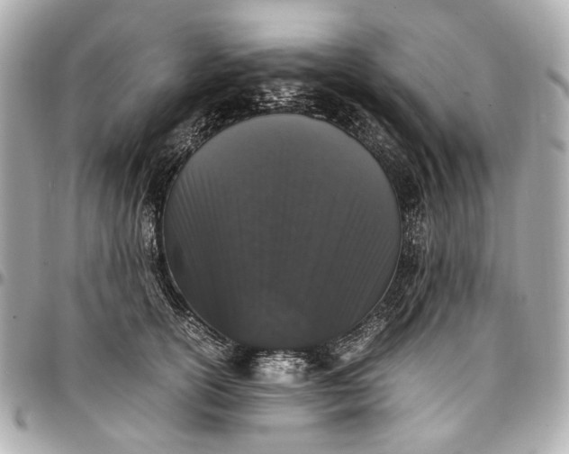 X0000097000754200802221520