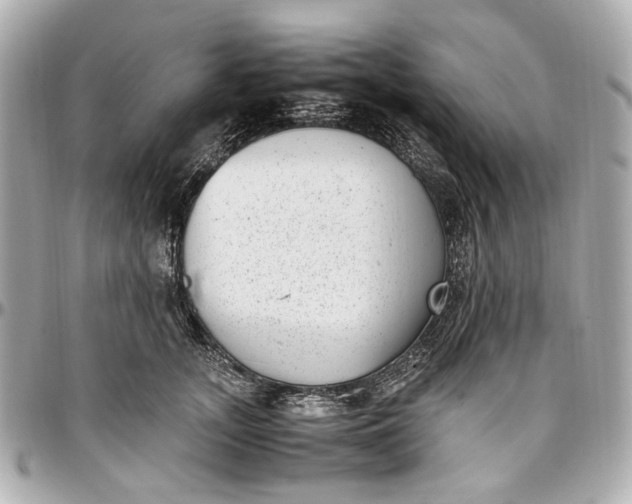 X0000097000755200802221520