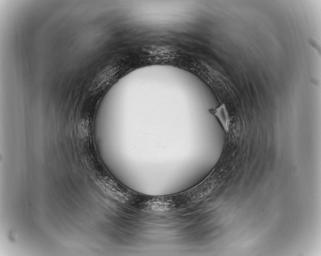 X0000097000756200802221520