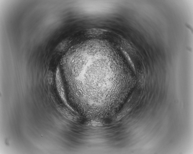 X0000097000758200802221521