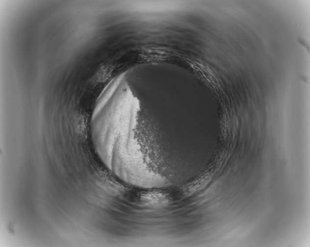 X0000097000759200802221521