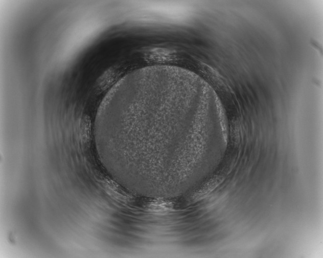 X0000097000760200802221521