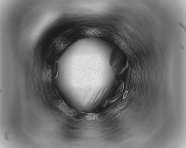 X0000097000762200802221521