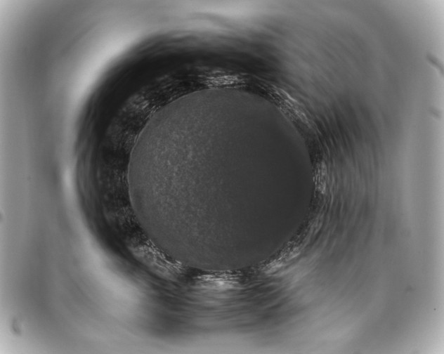 X0000097000763200802221521