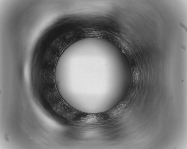 X0000097000764200802221521