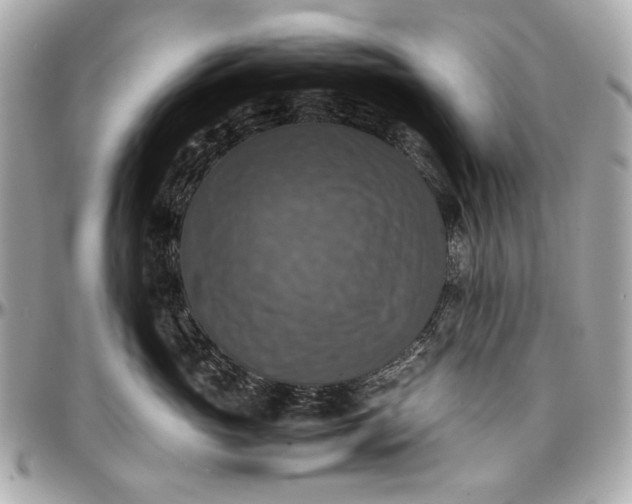 X0000097000765200802221521