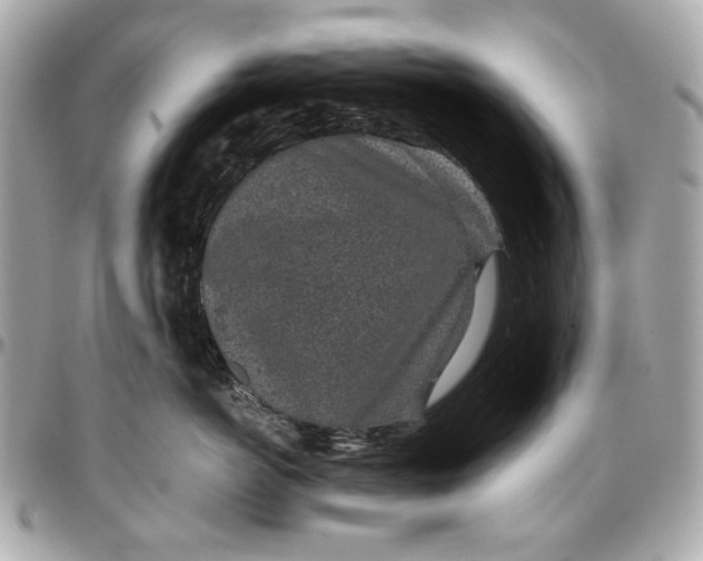 X0000097000766200802221521