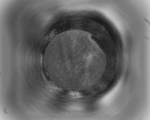 X0000097000767200802221521