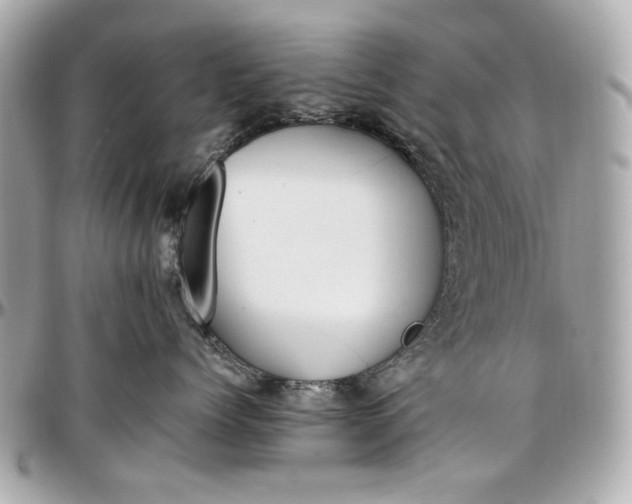 X0000097000768200802221521