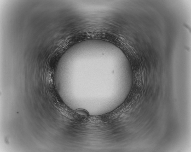 X0000097000770200802221520