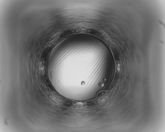 X0000097000771200802221520