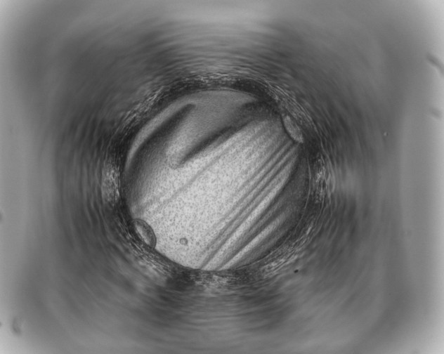 X0000097000772200802221520