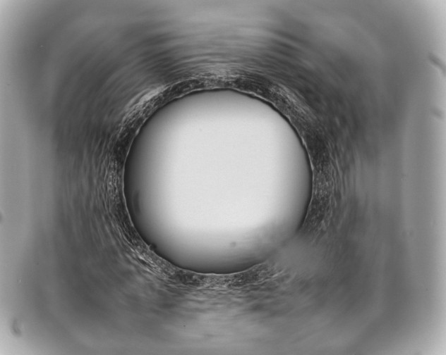 X0000097000773200802221520