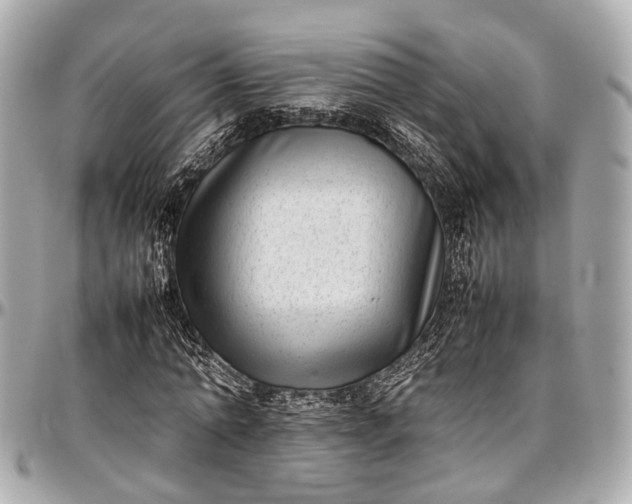 X0000097000774200802221520