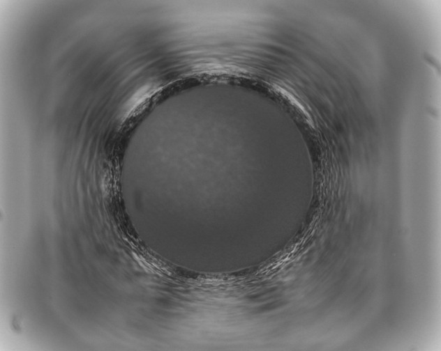 X0000097000775200802221520