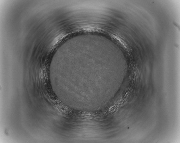 X0000097000776200802221520