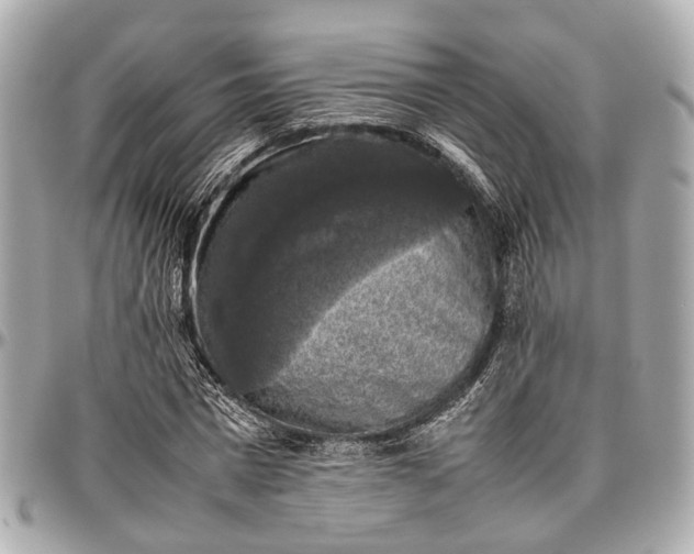 X0000097000777200802221520