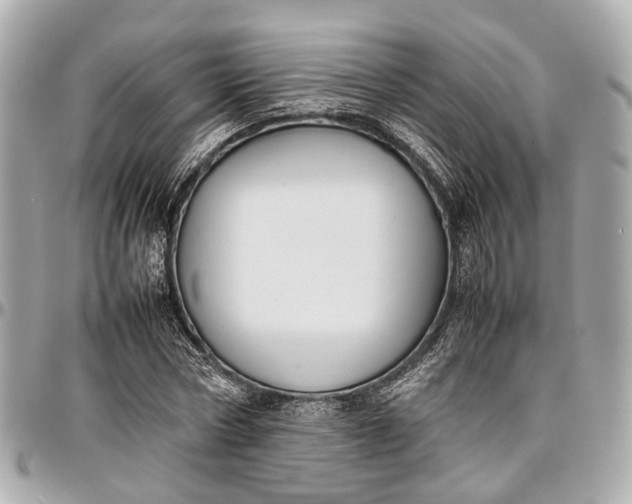 X0000097000778200802221520