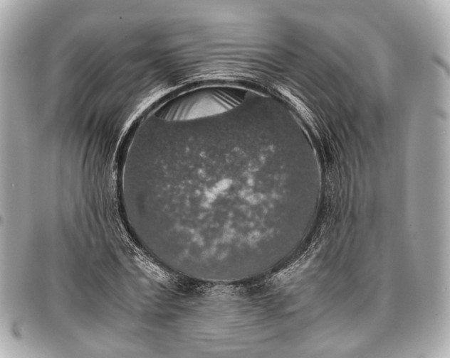 X0000097000779200802221520