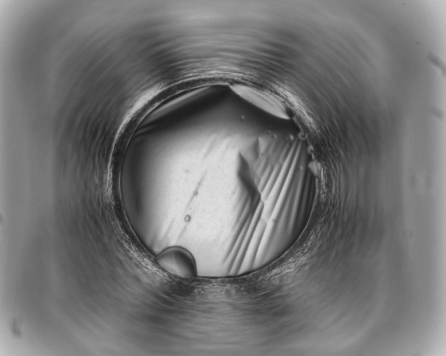 X0000097000780200802221520