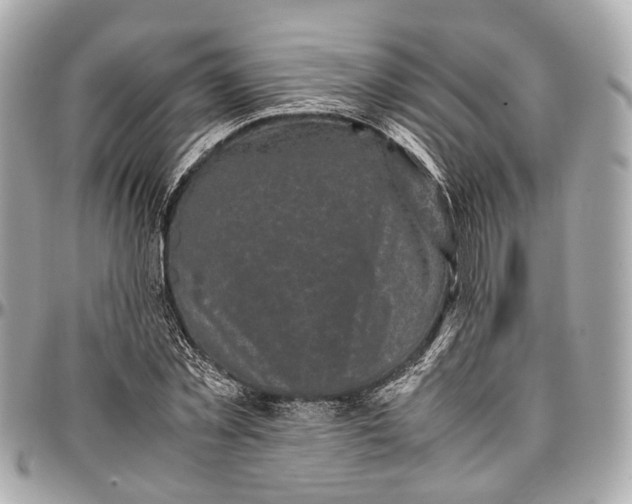 X0000097000781200802221520