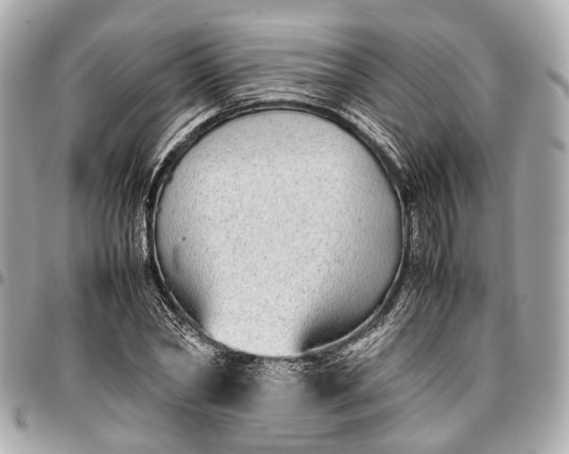 X0000097000782200802221520