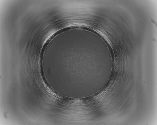 X0000097000783200802221520