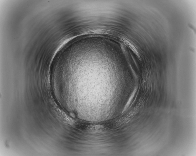 X0000097000784200802221520