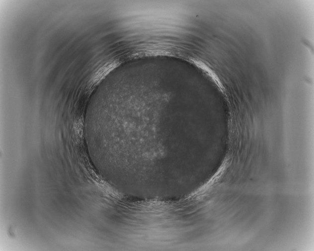 X0000097000785200802221520